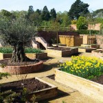 Bespoke Landscaped Garden in Chester
